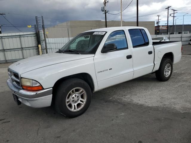 2001 Dodge Dakota Quattro