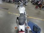 2005 Harley-Davidson XL883 C