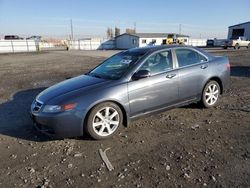 Acura salvage cars for sale: 2005 Acura TSX