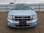 2008 Ford Escape HEV