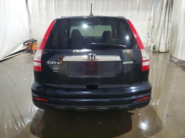 2010 Honda CR-V EXL