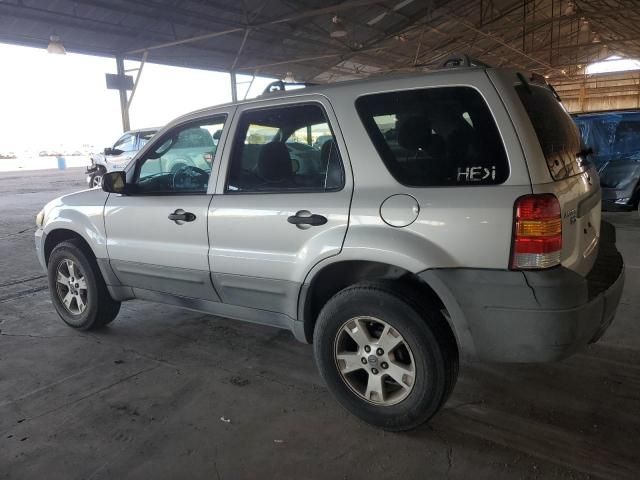 2005 Ford Escape XLT