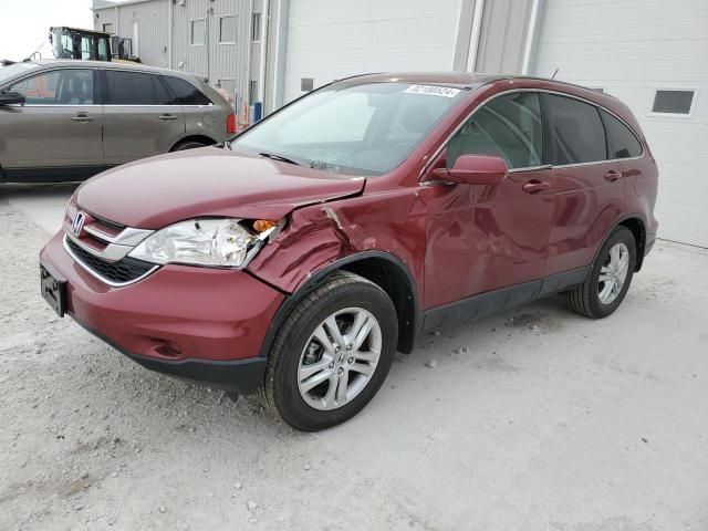 2010 Honda CR-V EXL