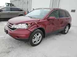 2010 Honda CR-V EXL en venta en Greenwood, NE