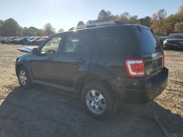 2011 Ford Escape Limited