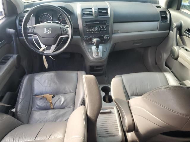 2010 Honda CR-V EXL