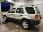 2004 Ford Escape XLT