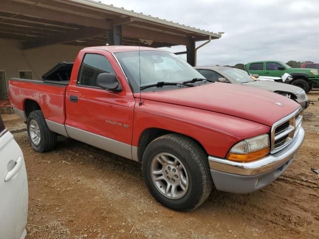 2001 Dodge Dakota