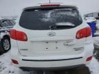 2007 Hyundai Santa FE SE