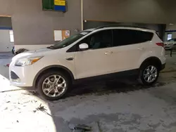 Ford Vehiculos salvage en venta: 2013 Ford Escape SE