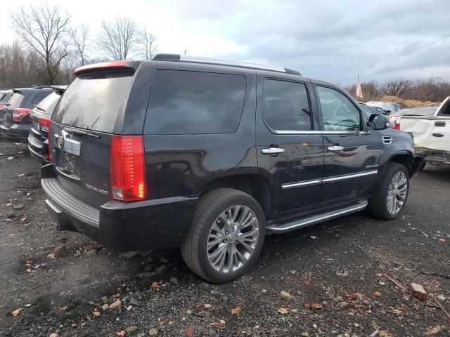 2010 Cadillac Escalade Luxury