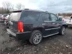 2010 Cadillac Escalade Luxury