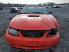 2001 Ford Mustang