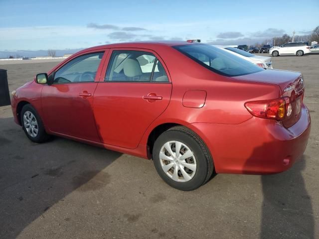 2010 Toyota Corolla Base