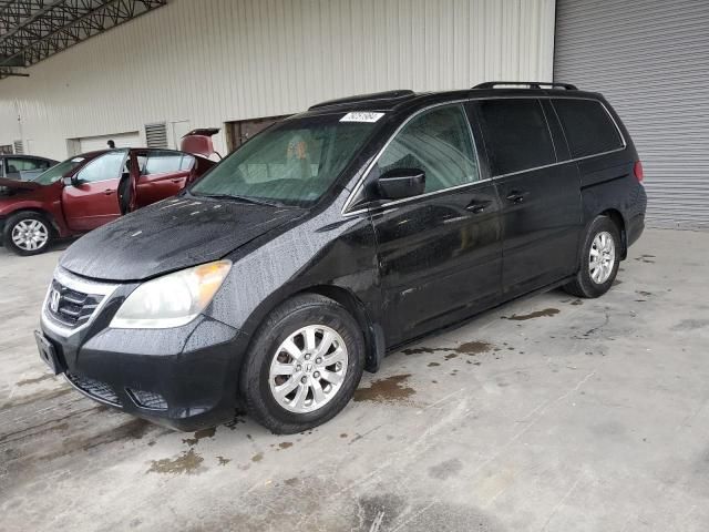 2010 Honda Odyssey EXL