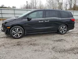 Honda salvage cars for sale: 2019 Honda Odyssey Elite