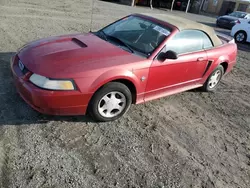 Ford Vehiculos salvage en venta: 1999 Ford Mustang