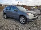 2010 Honda CR-V EXL