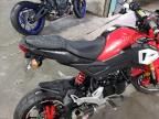 2019 Honda Grom 125