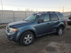 Salvage cars for sale at Nisku, AB auction: 2011 Ford Escape XLT