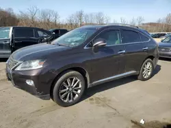 Salvage cars for sale at Marlboro, NY auction: 2013 Lexus RX 350 Base