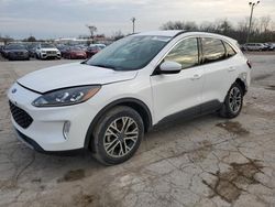 Ford Vehiculos salvage en venta: 2020 Ford Escape SEL