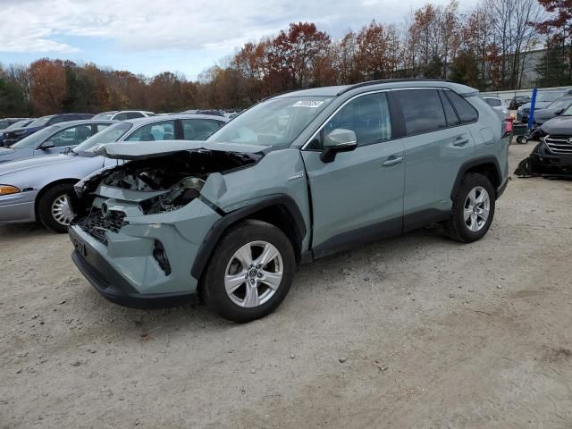 2019 Toyota Rav4 XLE