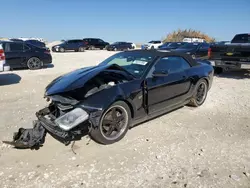 Salvage cars for sale at Taylor, TX auction: 2010 Ford Mustang GT