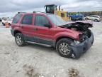 2006 Ford Escape XLT