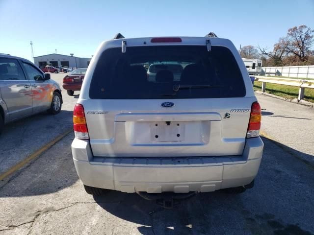 2007 Ford Escape HEV