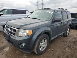 Salvage cars for sale from Copart Elgin, IL: 2009 Ford Escape XLT