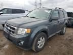 2009 Ford Escape XLT