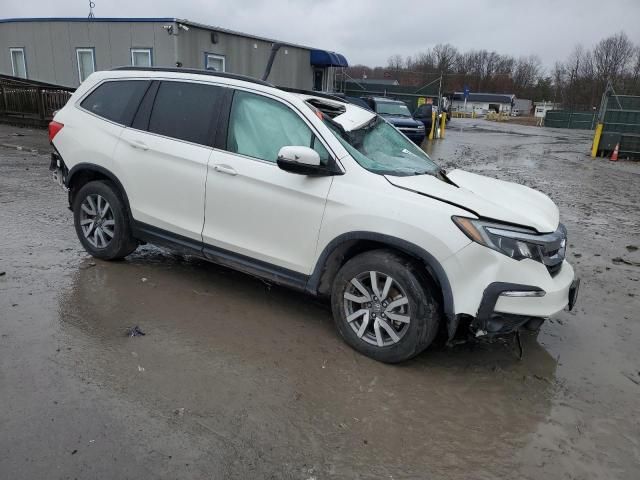 2019 Honda Pilot EXL