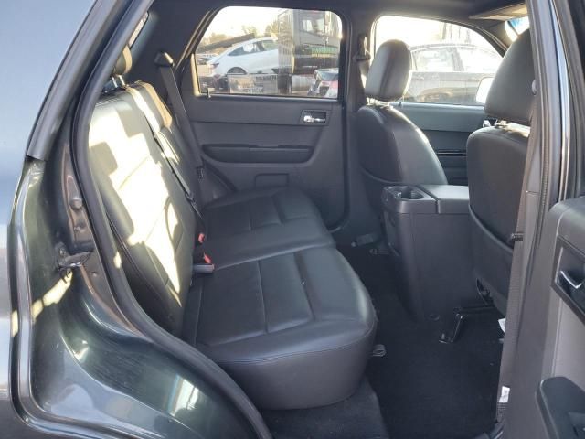 2008 Ford Escape Limited