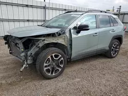 Vehiculos salvage en venta de Copart Mercedes, TX: 2020 Toyota Rav4 Adventure