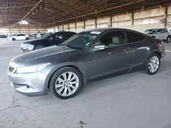 Honda salvage cars for sale: 2010 Honda Accord EXL