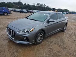 Carros salvage sin ofertas aún a la venta en subasta: 2019 Hyundai Sonata SE