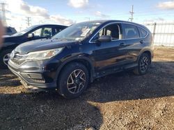 Honda crv salvage cars for sale: 2016 Honda CR-V SE