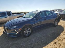 Salvage cars for sale from Copart San Antonio, TX: 2021 Hyundai Sonata SE