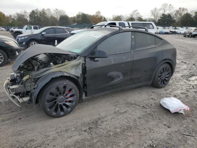 2024 Tesla Model Y