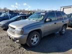 2007 Chevrolet Trailblazer LS