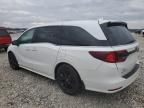 2023 Honda Odyssey SPORT-L