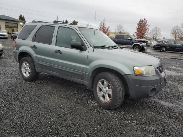 2005 Ford Escape XLT