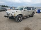 2008 Cadillac Escalade ESV