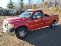 Ford salvage cars for sale: 2010 Ford F150