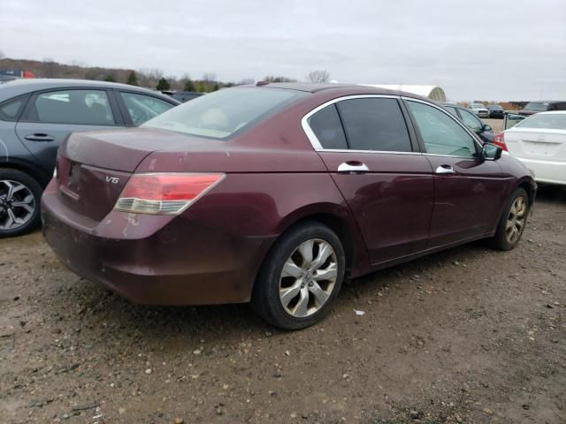 2008 Honda Accord EXL