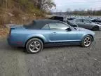 2006 Ford Mustang