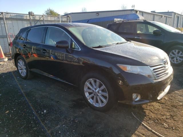 2010 Toyota Venza