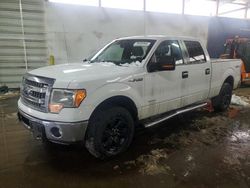 Salvage cars for sale from Copart Brighton, CO: 2013 Ford F150 Supercrew