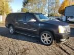 2012 Cadillac Escalade ESV Luxury